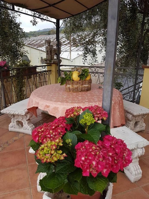 Agriturismo Al Nido Degli Aironi image 11