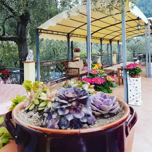Agriturismo Al Nido Degli Aironi image 13