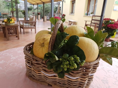 Agriturismo Al Nido Degli Aironi image 27